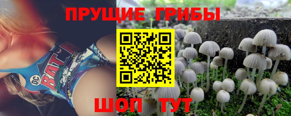Щёкино  Галлюциногенные грибы MAGIC MUSHROOMS  Галлюциногенные грибы прущие грибы  Вход с VPN 