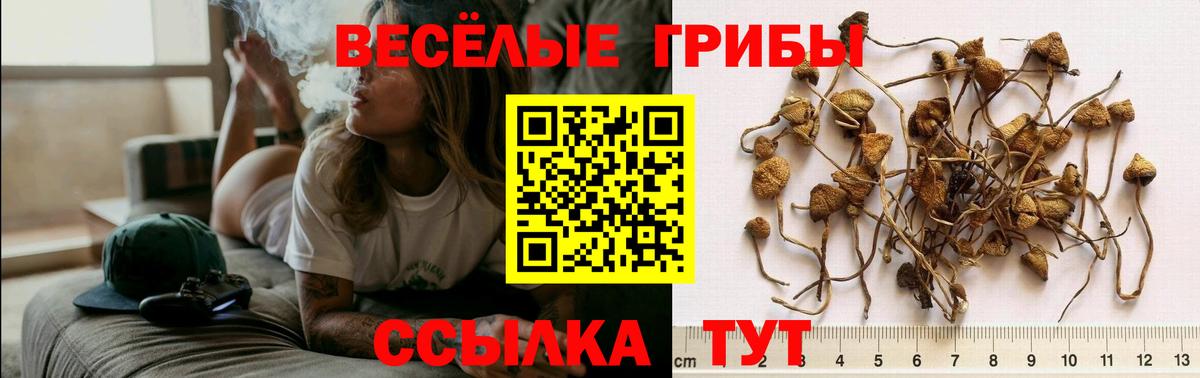 Галлюциногенные грибы мухоморы Щёкино