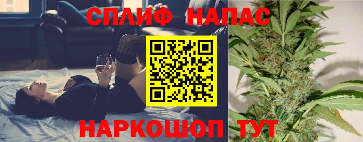 Каннабис планчик Щёкино